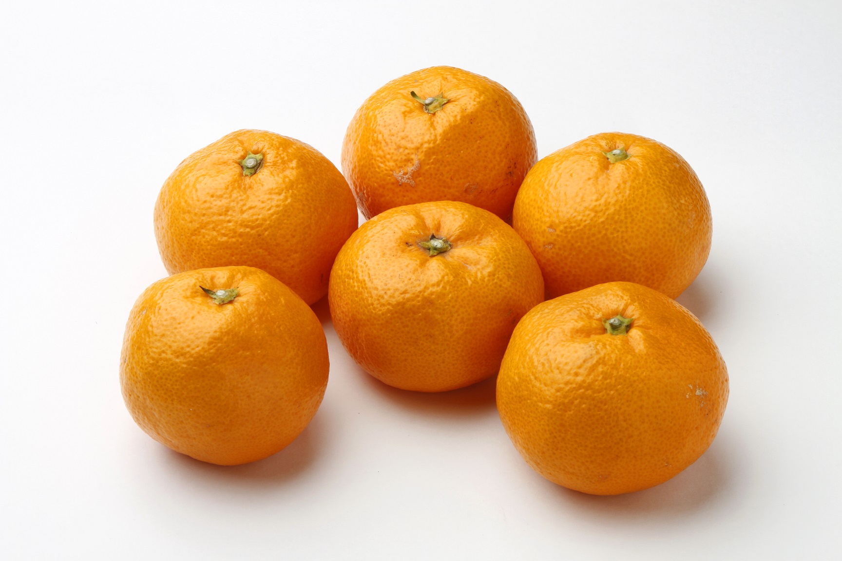 6つのこぶし大のオレンジ色のミカンが並べられた様子