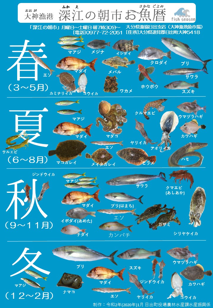 ひじまち大神漁港深江の朝市お魚暦ver1の画像