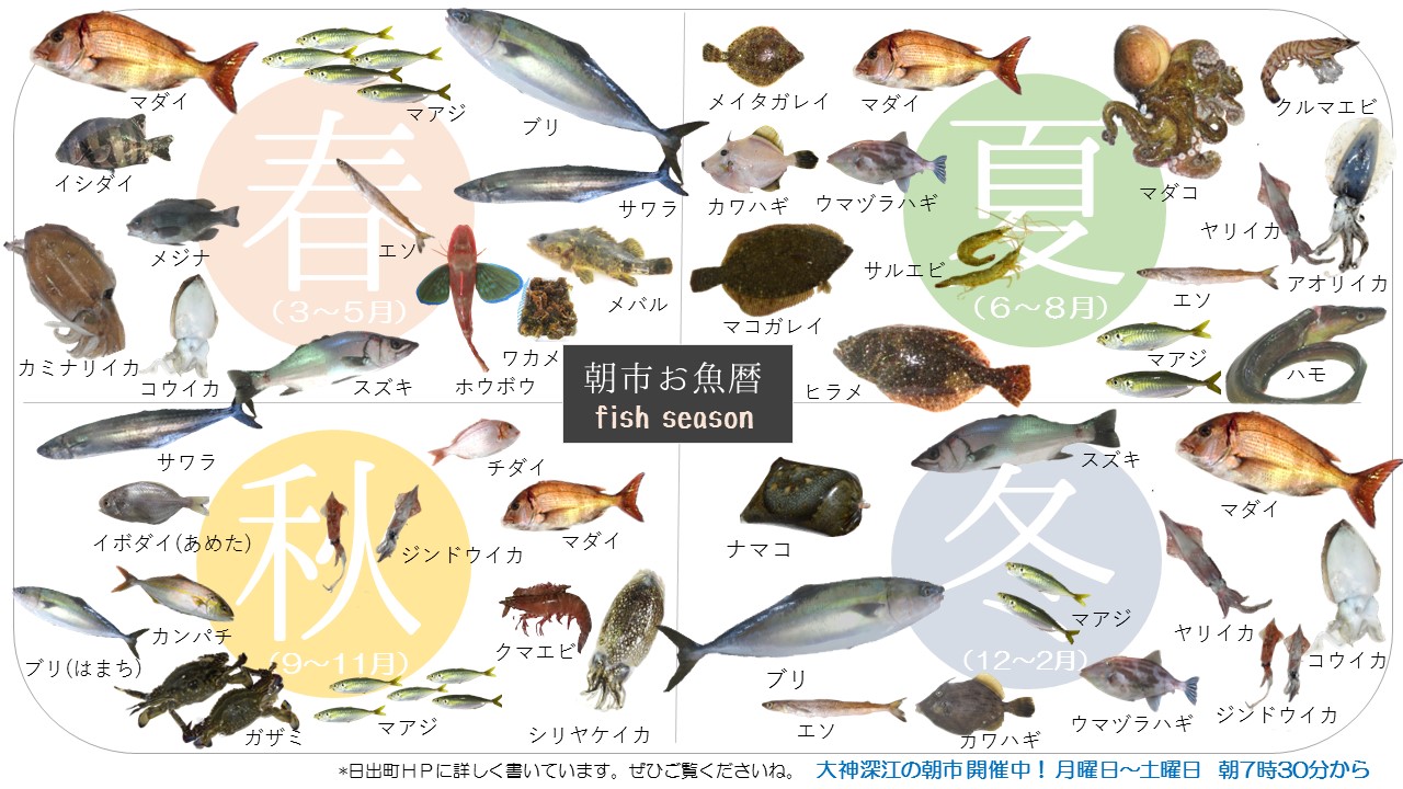 ひじまち大神漁港深江の朝市お魚暦 ver2の画像