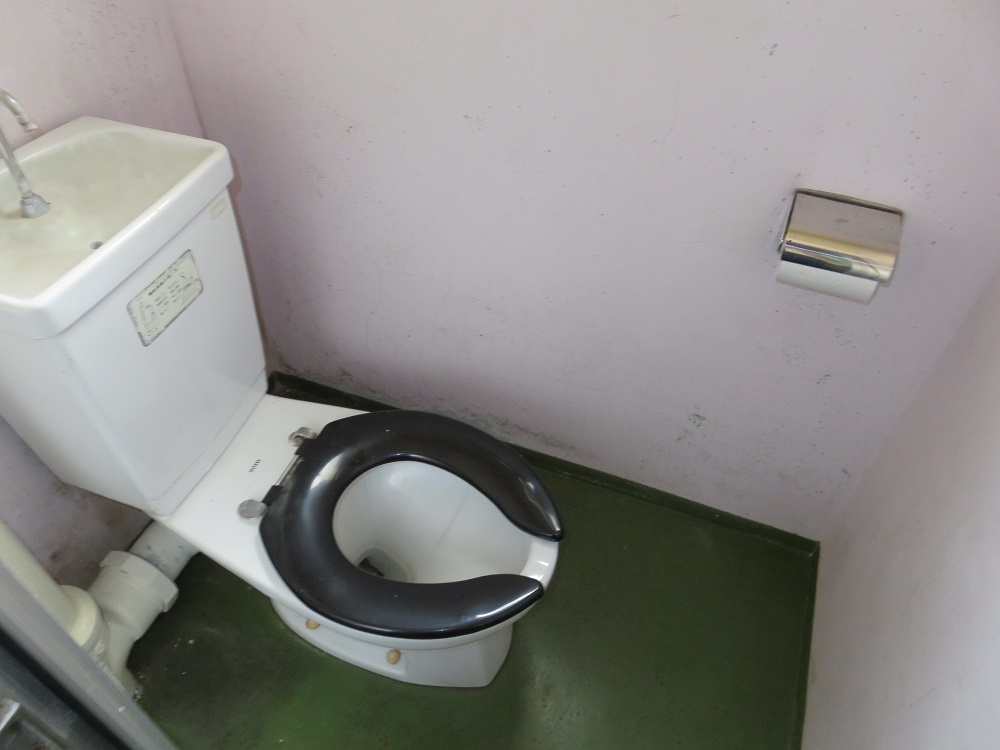 緑の床と便器が見えるトイレの写真（富岡住宅の内観）