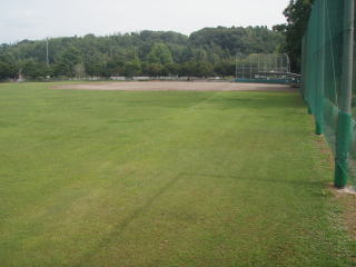 芝生が広がっていて奥が野球場になっている運動場の写真