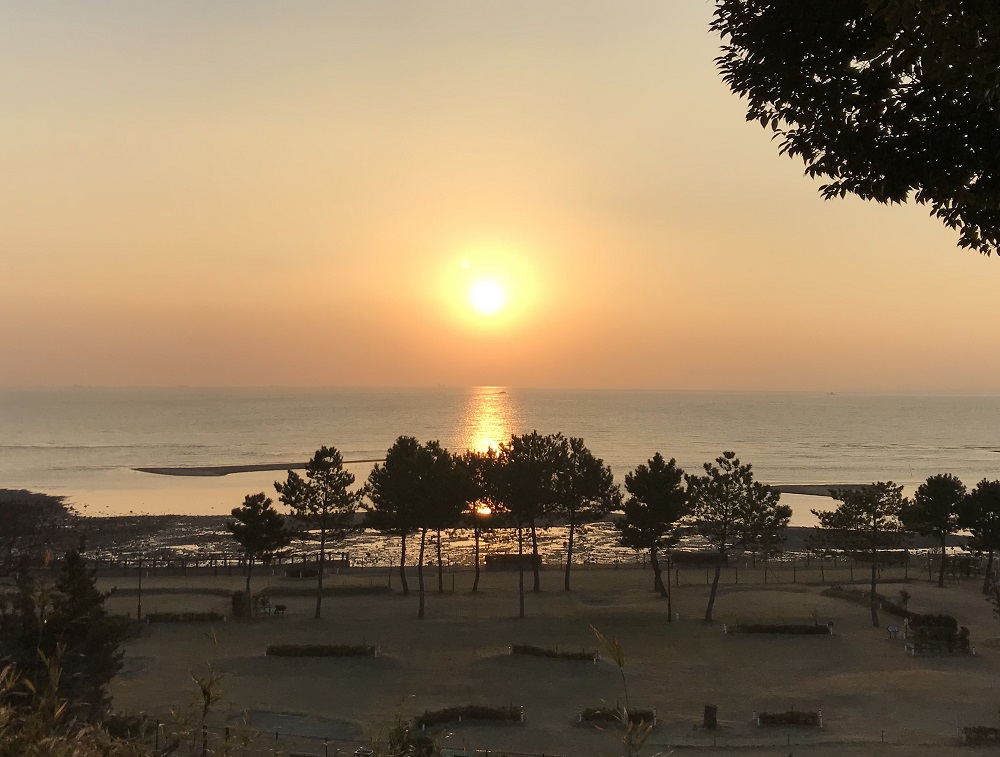 木々が生える海岸と夕陽が海に向かって沈みつつある写真