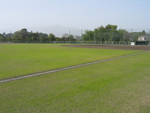 手前に芝生が広がっており、奥に野球場が写っている写真
