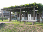 木の枠の上が緑に覆われ屋根になっていて手前にベンチがある写真