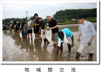 地域間交流：水の張った田んぼに、横一列に並んで、男性や子ども達が田植えをしている写真